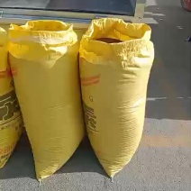 山西优质柴胡种子，当年采收，发芽率高，包邮！