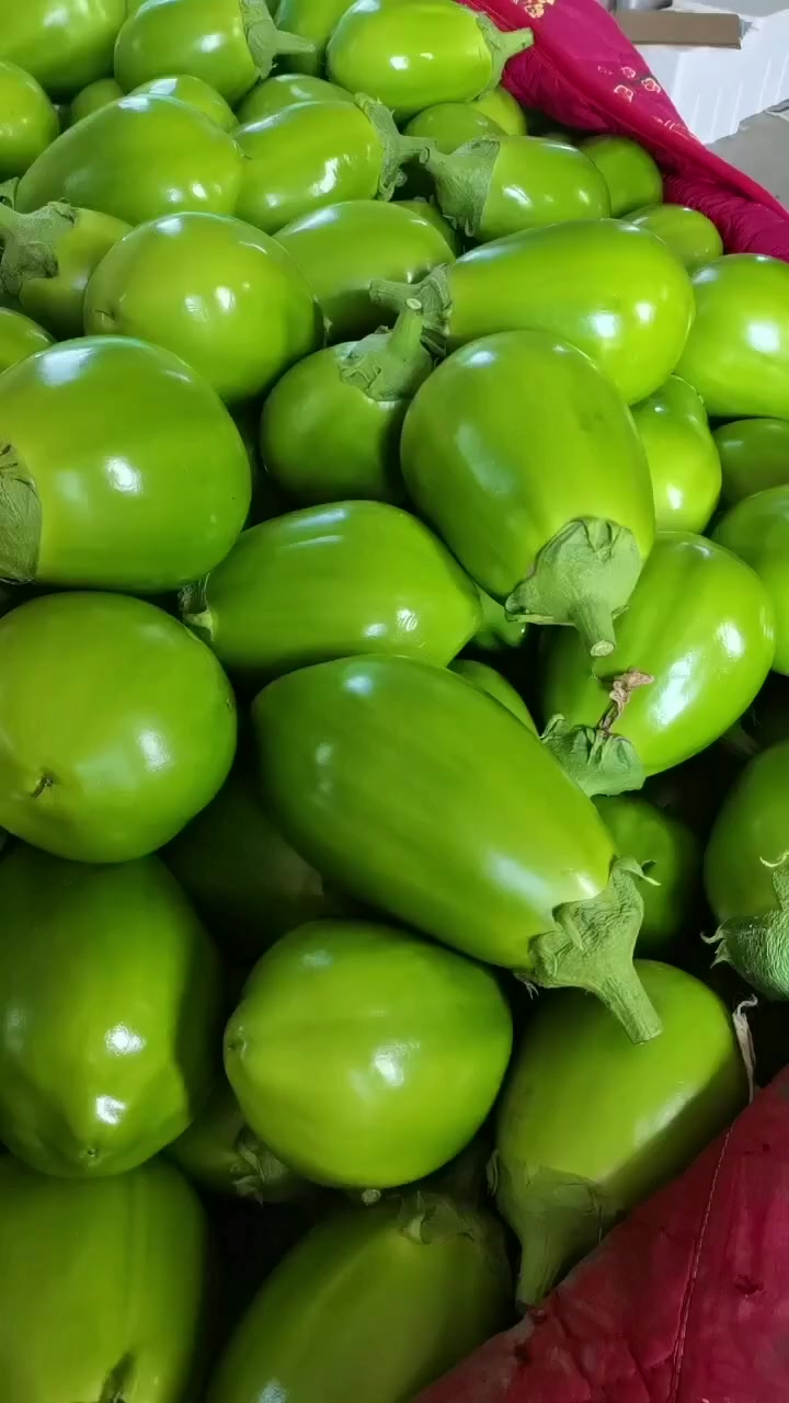 青茄瓜的魅力与欣赏：附青茄瓜图片展示- 一亩田