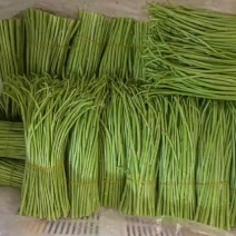 新鲜现摘芦蒿，清香脆嫩，天然无污染，速抢！