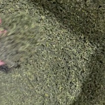 茶头