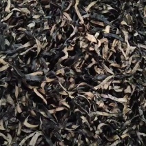 头茬木耳丝干货白背毛木耳丝新货电商可一件代发可装小袋