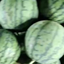 蜜童西瓜头茬个大饱满甜