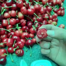 红灯大樱桃