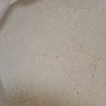 大麦虫粪（虫沙，虫屎）