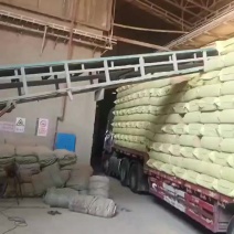 江西稻壳，压缩稻壳，打包稻壳，雷竹种植，养殖垫圈，量大从优