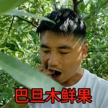 鲜果巴旦木，纸壳巴旦木
