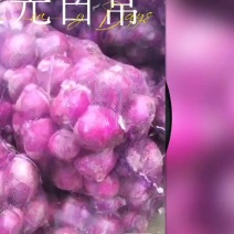 洋葱
