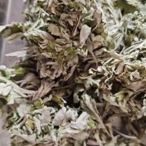 新货艾叶颜色好味道香