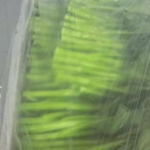 广东菜心，要精品看过来