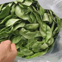 山东精品眉豆产地货源充足保质保量欢迎咨询