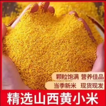 山西黄小米产地直供一件代发