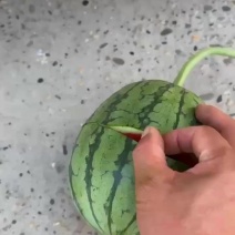 大量有货