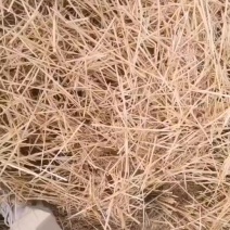 小麦秸秆一次成型大方包