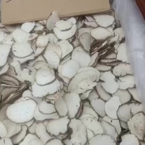 重楼片规格多货品齐符合药典标准的重楼片需要的详谈