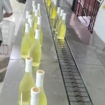 香水柠檬酒欢迎咨询