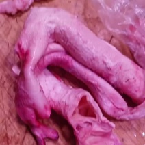 牛心管，长期供货