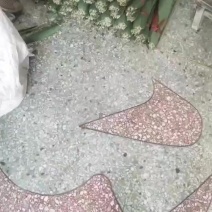 粽子叶