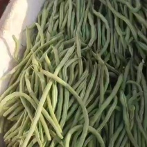 架豆王一一无筋豆乳白色翠绿色脆甜无杂质！