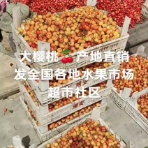 大樱桃樱桃产地批发红灯黄蜜先锋美早发全国各地水果市场