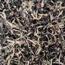 木耳丝