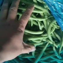 精品刀豆供商超农贸电商平台机关食堂