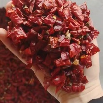 干辣椒段魔鬼辣椒段大量有货对接全国平台量大从优