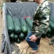 吊冬瓜