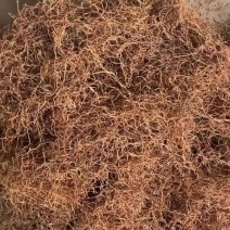 鱼腥草干根自然晒干湖北当阳基地直供折耳根干根