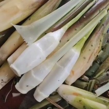 茭白，精品，电商大量可持续供应