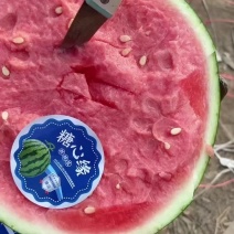 美都西瓜/8424西瓜/甜王/麒麟西瓜/无籽美都产地直发