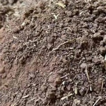 厂家直销茶粕茶枯茶皂素清塘杀杂鱼福寿螺不伤虾蟹