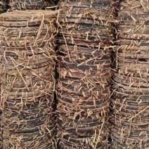 湖南茶籽饼茶粕茶枯粉茶麸水产清塘杀杂鱼福寿螺蝌蚪种植杀虫