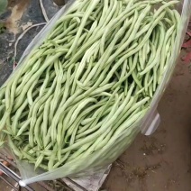 架豆王一一无箫豆
