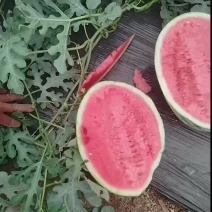 晋王