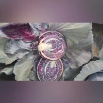 紫甘蓝河北邯郸产区，大量有货，可视频看货