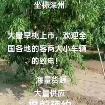 早桃，中桃，晚桃应季水果！