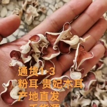粉木耳干货～一手货源价格便宜，质量有保障，专业做批发