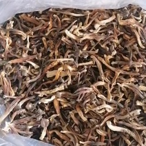低价鹿茸菇，水菇，便宜鹿茸菇，跑色鹿茸菇，变色鹿茸菇