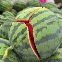 我要卖无籽麒麟