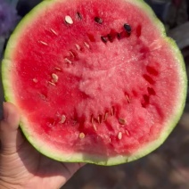 美都有籽麒麟
