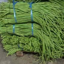天门青长豆角供应市场电商工厂，可预冷发货