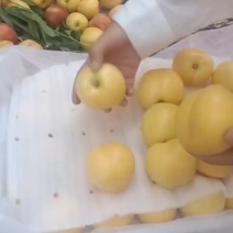 精品黄油
