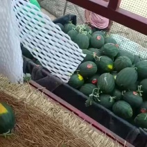 慕甜嘉宝