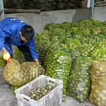 新鲜核桃