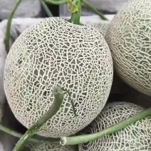 精品牛三