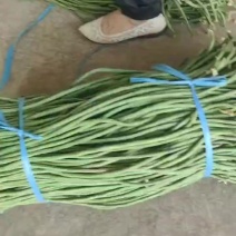 精品长豆角，豇豆大量上市中，