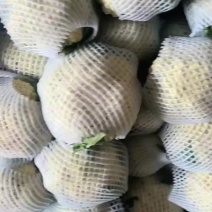 菜花，散花
