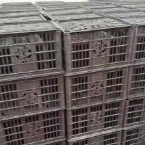 各种类二手水果筐