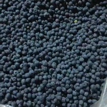 蓝莓冻果