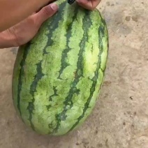 湖北襄阳市宜城金城5西瓜口感脆甜，性价比很高。